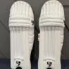 sg batting pads