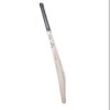 gray nicolls english willow