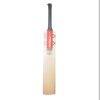 gray nicolls english willow