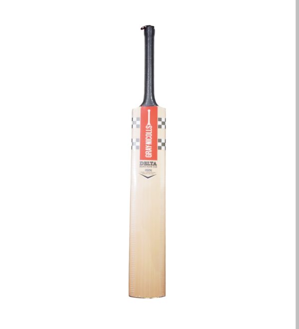 gray nicolls english willow
