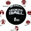 SAS Rubber Medicine Balls Smooth and Tread Textured Grip Dead Weight Balls for Cardio and Core Workouts, Cross/Strength Training (Size: 1 KG)