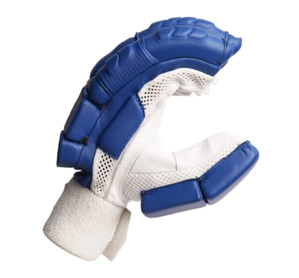 test edition blue cricket batting gloves
