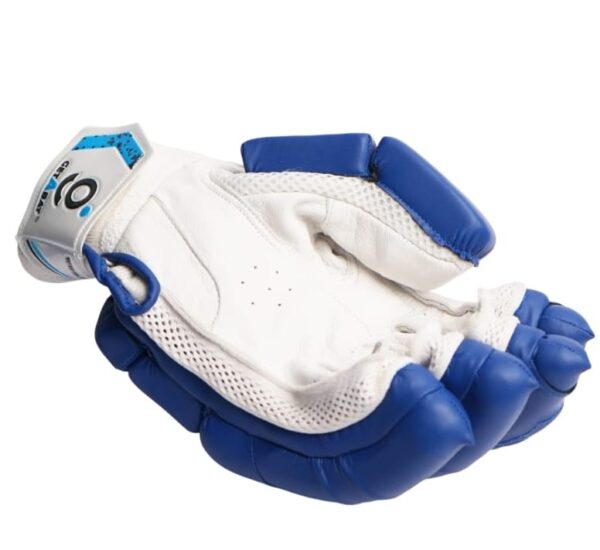 test edition blue cricket batting gloves