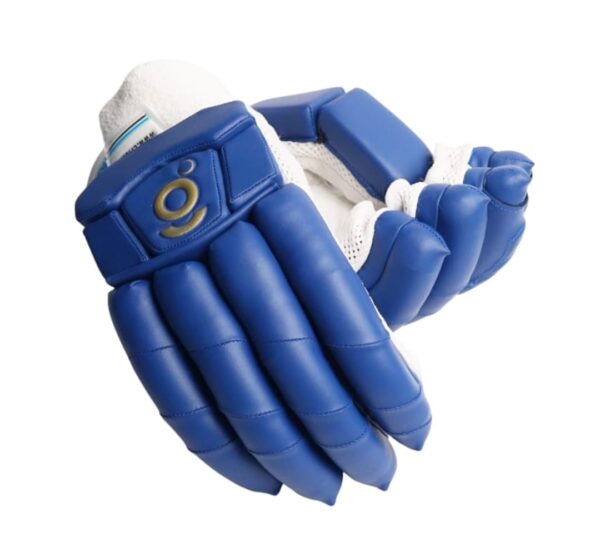 test edition blue cricket batting gloves