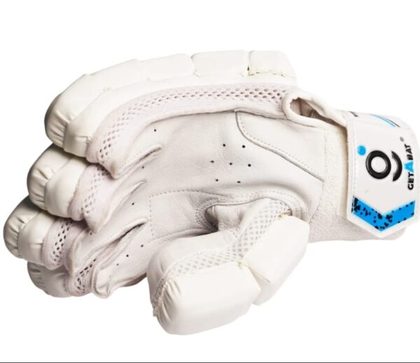 GAB Dominance Cricket Batting Gloves (Blue)