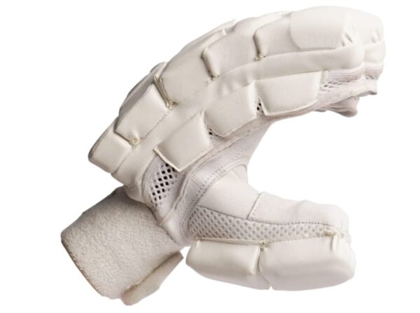 GAB Dominance Cricket Batting Gloves (Blue)