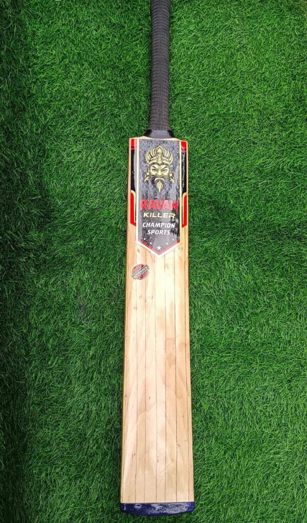 tennis cricket bat