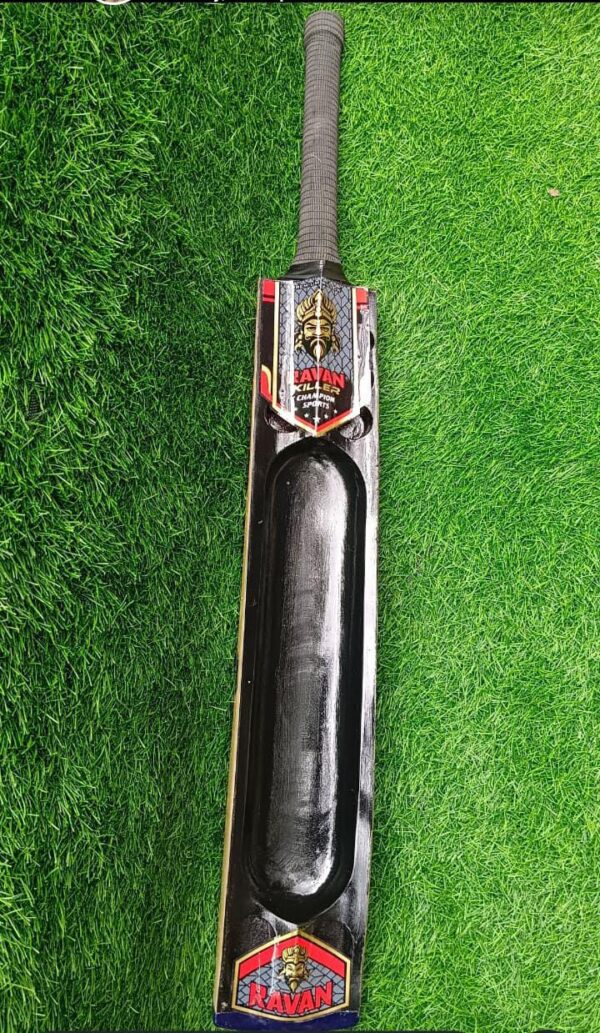 tennis cricket bat
