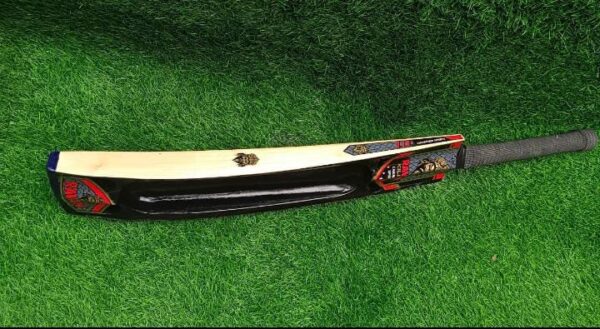 tennis cricket bat