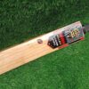 tennis cricket bat