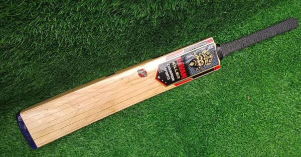 tennis cricket bat