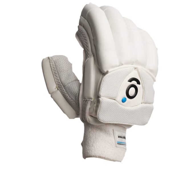 gab test pro cricket batting gloves