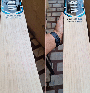 Virtus Sport Triump - Player Edition