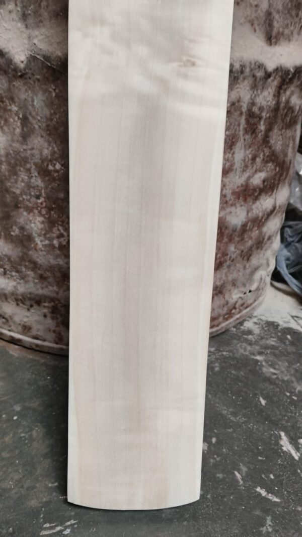 SS Sky 360 English Willow Cricket Bat-5
