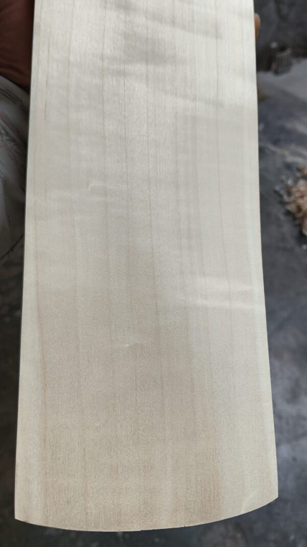 SS Sky 360 English Willow Cricket Bat-5