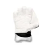 Whitedot Albatross Wicket Keeping Gloves