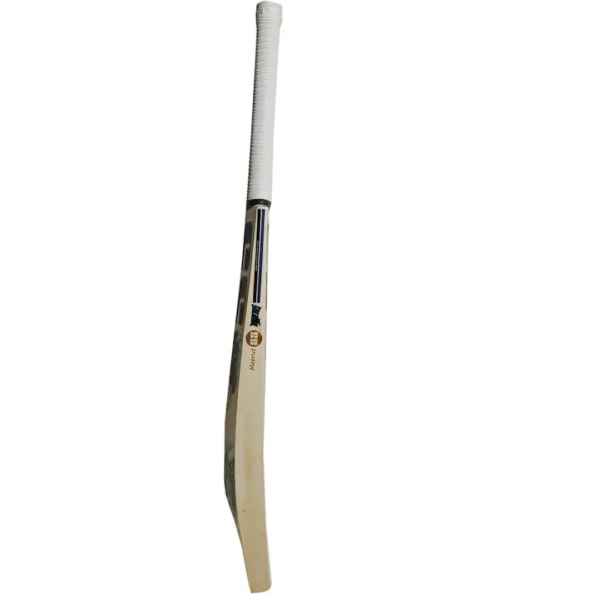 SS Devil Cricket Bat