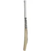 SS Devil Cricket Bat