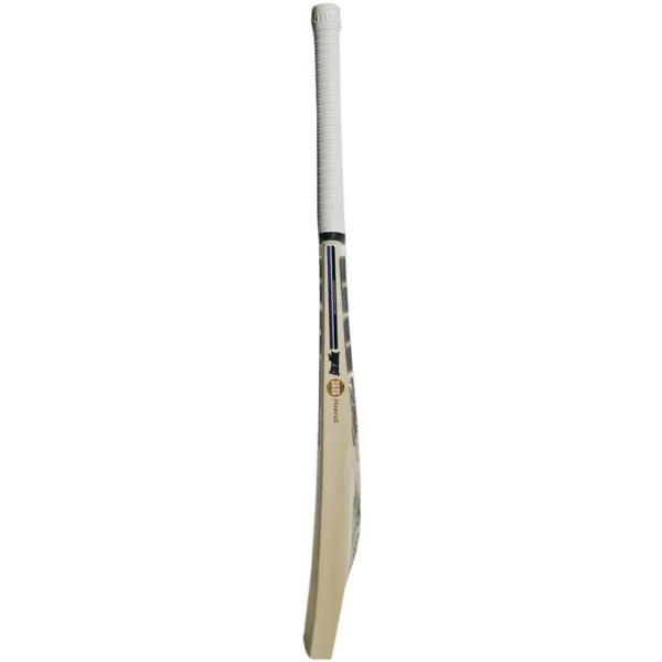SS Devil Cricket Bat